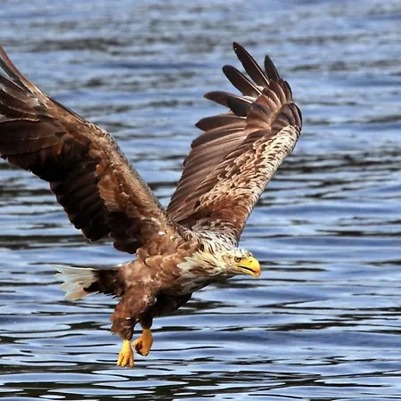 Pensión Angelas Fjord